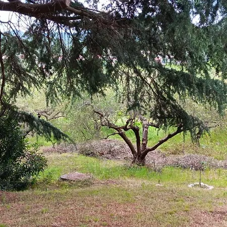 Bianca Kavala Agios Andreas (East Macedonia)