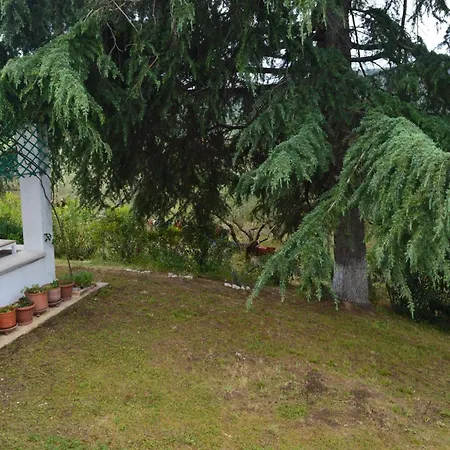 Bianca Kavala Agios Andreas (East Macedonia)