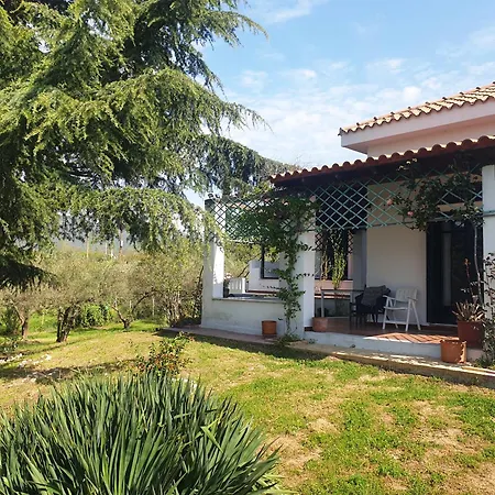 Bianca Kavala Agios Andreas (East Macedonia)