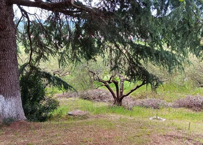 Bianca Kavala Agios Andreas (East Macedonia)